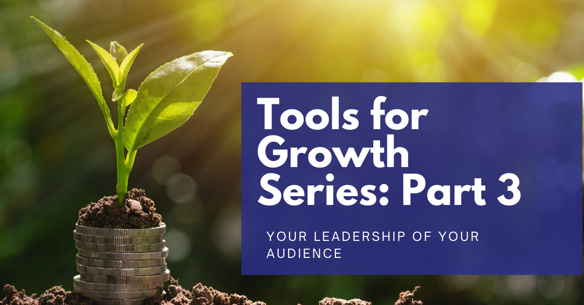 You are currently viewing Tools for Growth Series: Part 3 – Your Leadership of Your Audience